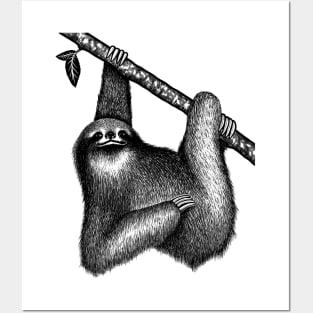 Sloth,sloth lover transparent desing Posters and Art